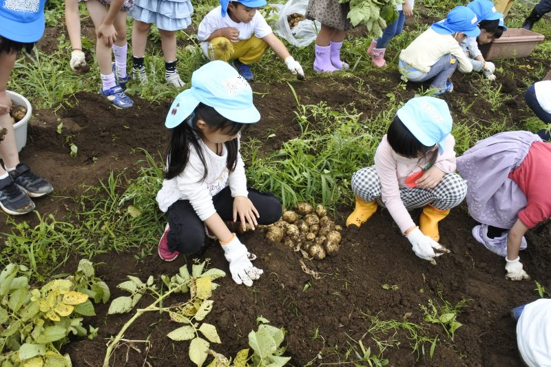 かおり幼稚園　畑